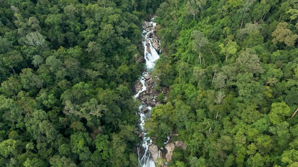 Quels conseils pour une transition réussie vers une carrière en gestion de la santé et de la sécurité au travail?