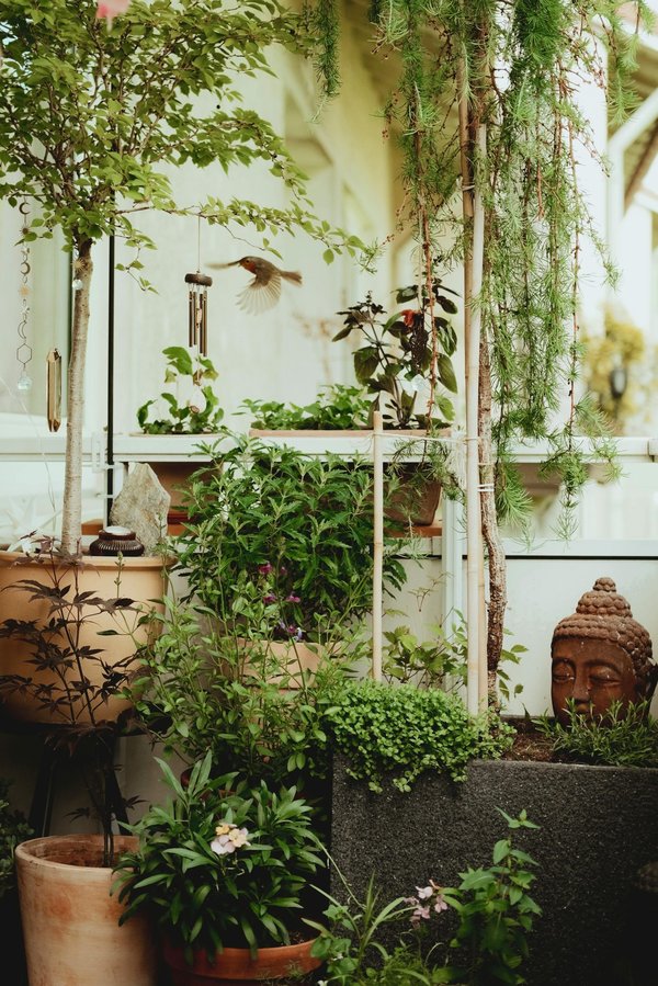 Découvrez 10 concepts originaux pour créer votre jardin parfait